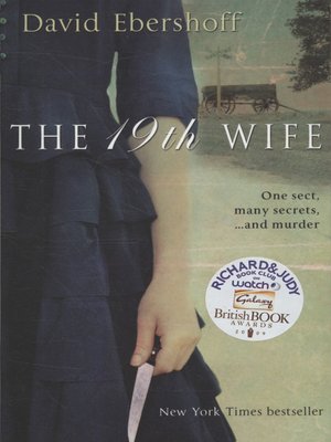 cover image of The 19th wife